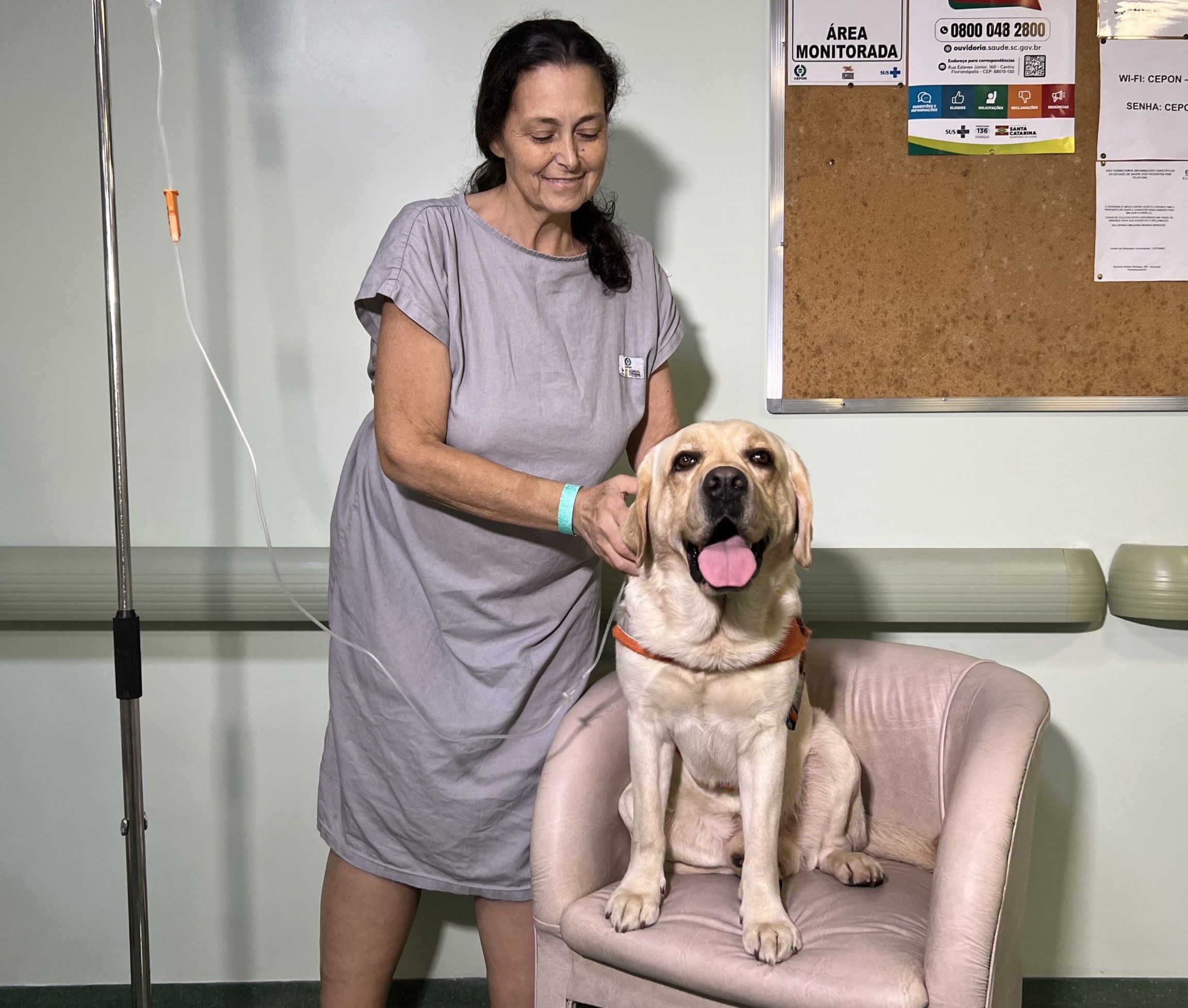 Cães do Corpo de Bombeiros Militar de Santa Catarina levam amor e alegria aos pacientes do CEPON em ação do Outubro Rosa 1